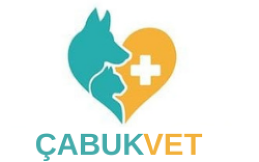 KARACABEY ÇABUK VETERİNER KLİNİĞİ